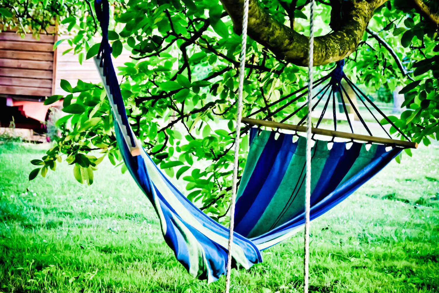 Après quoi courons-nous? La réponse de Pascal